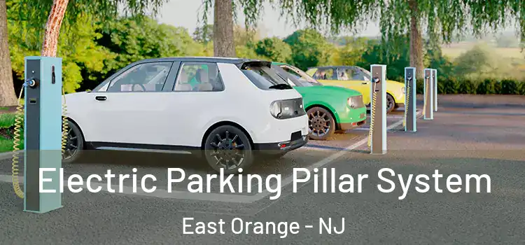 Electric Parking Pillar System East Orange - NJ