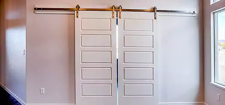 Glass Barn Door with Installation Hardware Kit East Orange